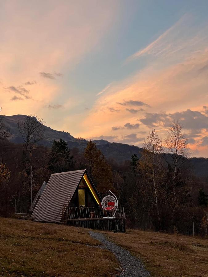 Glamping Wolf Mount Lodge *