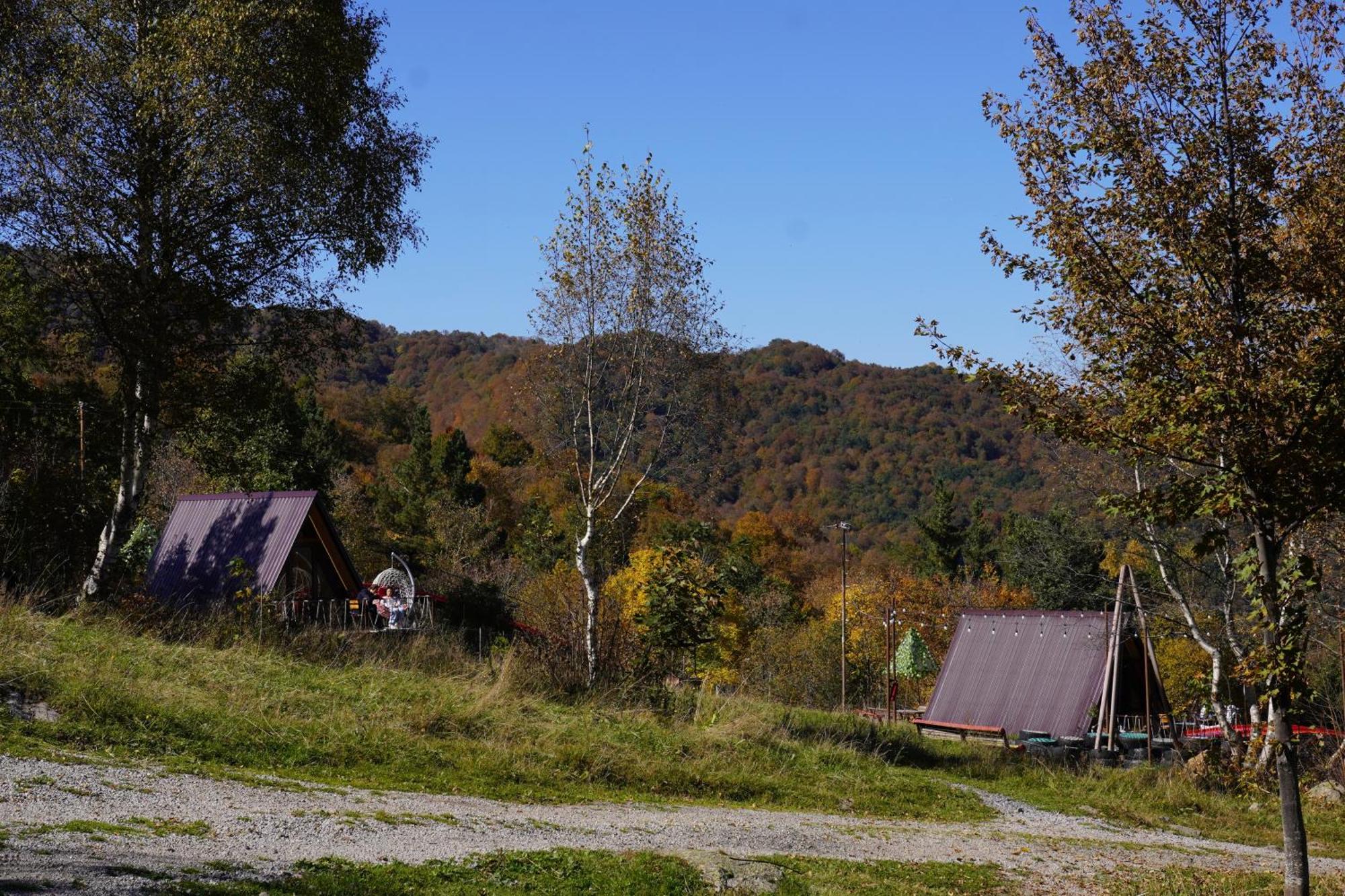 Glamping Wolf Mount Lodge *