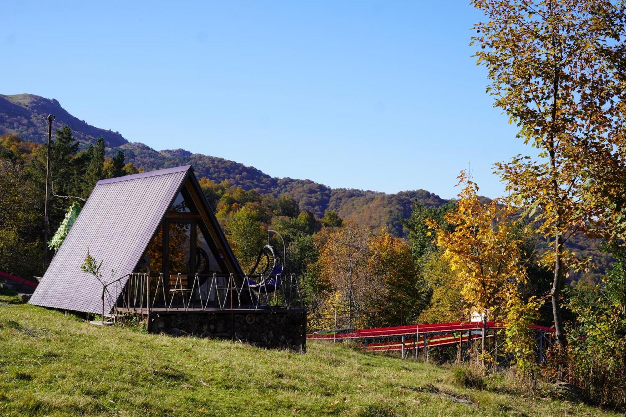 Lodge Glamping Wolf Mount *